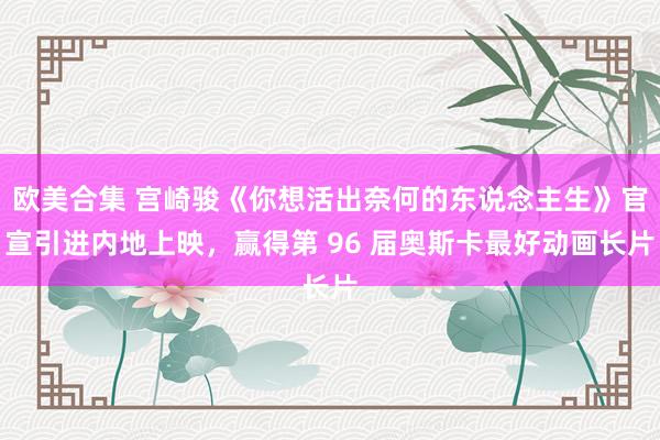 欧美合集 宫崎骏《你想活出奈何的东说念主生》官宣引进内地上映，赢得第 96 届奥斯卡最好动画长片