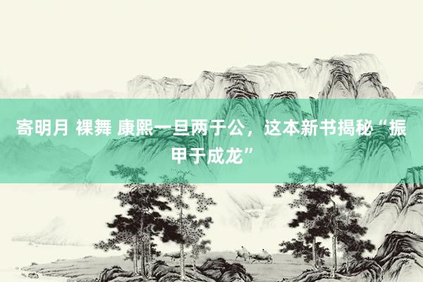 寄明月 裸舞 康熙一旦两于公，这本新书揭秘“振甲于成龙”