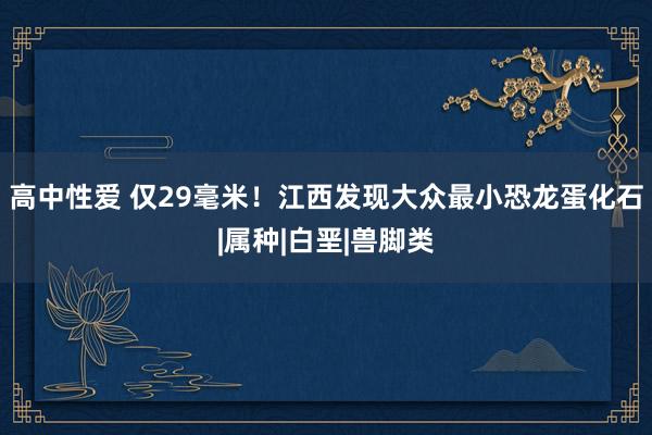   高中性爱 仅29毫米！江西发现大众最小恐龙蛋化石|属种|白垩|兽脚类
