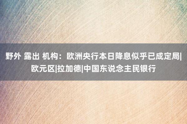   野外 露出 机构：欧洲央行本日降息似乎已成定局|欧元区|拉加德|中国东说念主民银行