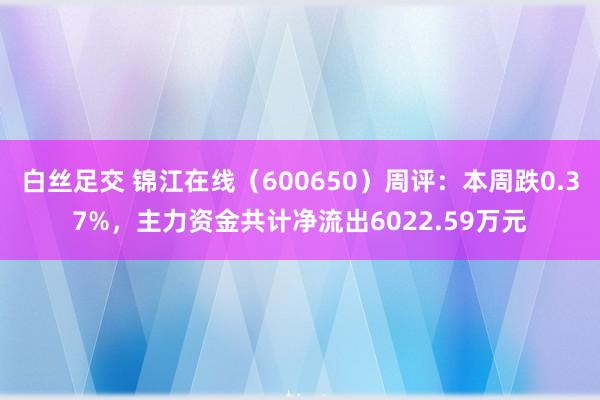   白丝足交 锦江在线（600650）周评：本周跌0.37%，主力资金共计净流出6022.59万元