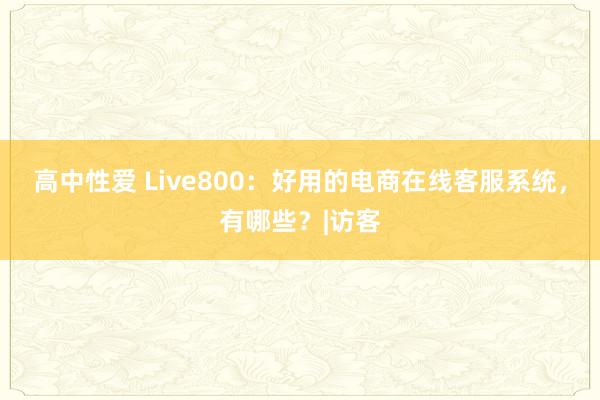   高中性爱 Live800：好用的电商在线客服系统，有哪些？|访客