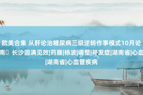 欧美合集 从肝论治糖尿病三级逆转作事模式10月论坛暨湖南▪长沙圆满见效|药膳|杨波|调整|并发症|湖南省|心血管疾病