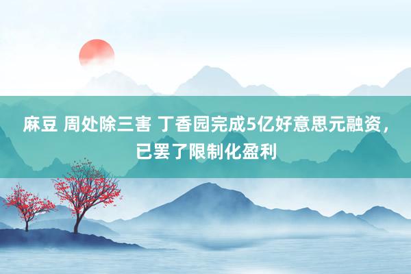 麻豆 周处除三害 丁香园完成5亿好意思元融资,已罢了限制化盈利