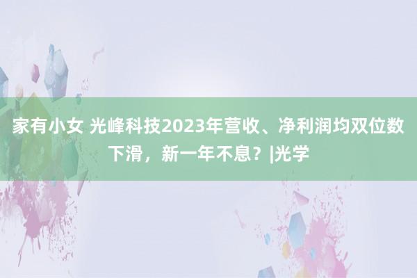   家有小女 光峰科技2023年营收、净利润均双位数下滑，新一年不息？|光学