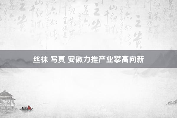   丝袜 写真 安徽力推产业攀高向新