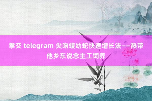   拳交 telegram 尖吻蝮幼蛇快速增长法——热带他乡东说念主工饲养