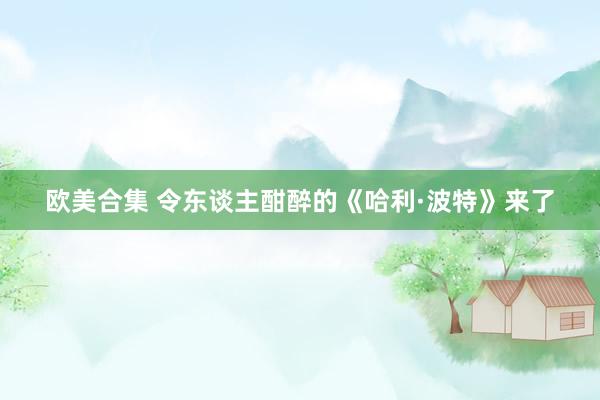   欧美合集 令东谈主酣醉的《哈利·波特》来了
