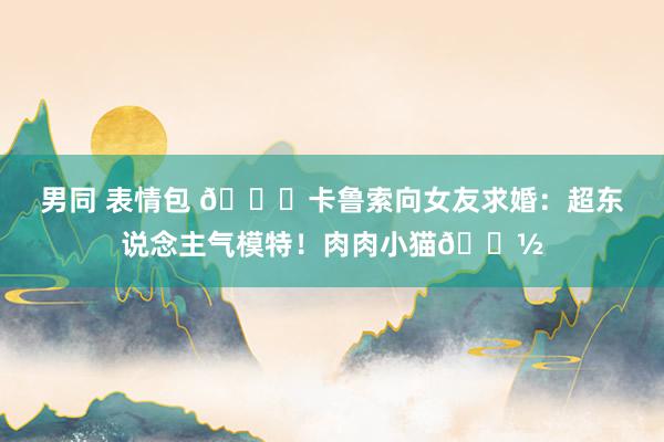 男同 表情包 💍卡鲁索向女友求婚：超东说念主气模特！肉肉小猫😽
