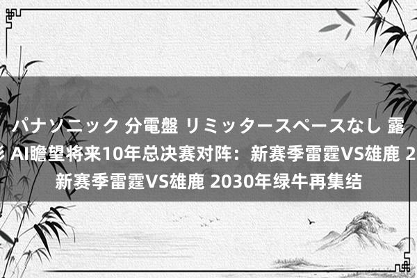   パナソニック 分電盤 リミッタースペースなし 露出・半埋込両用形 AI瞻望将来10年总决赛对阵：新赛季雷霆VS雄鹿 2030年绿牛再集结
