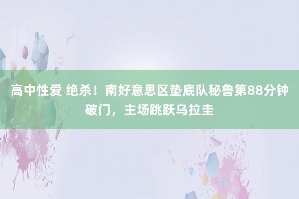   高中性爱 绝杀！南好意思区垫底队秘鲁第88分钟破门，主场跳跃乌拉圭