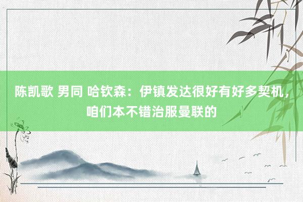 陈凯歌 男同 哈钦森：伊镇发达很好有好多契机，咱们本不错治服
