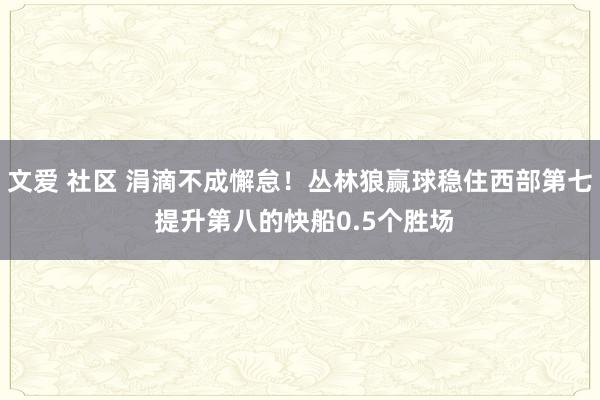 文爱 社区 涓滴不成懈怠！丛林狼赢球稳住西部第七 提升第八的